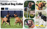 Dog Collar with AirTag Pocket