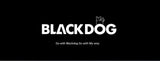 BLACKDOG Camping Hanging Nylon Lanyard