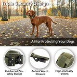 Dog Collar with AirTag Pocket