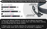 Dog Collar with AirTag Pocket